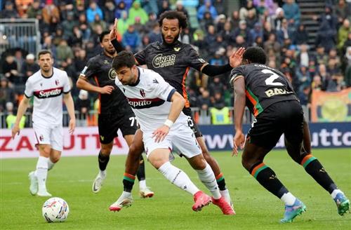 Bet Champions: Ultimate Home Betting Guide